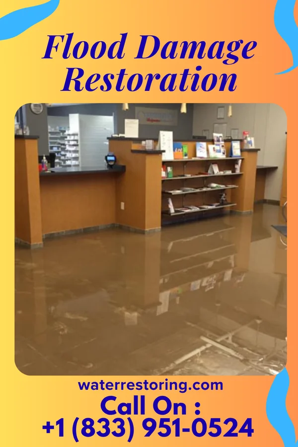 Flood Damage Restoration in Faceville, GA